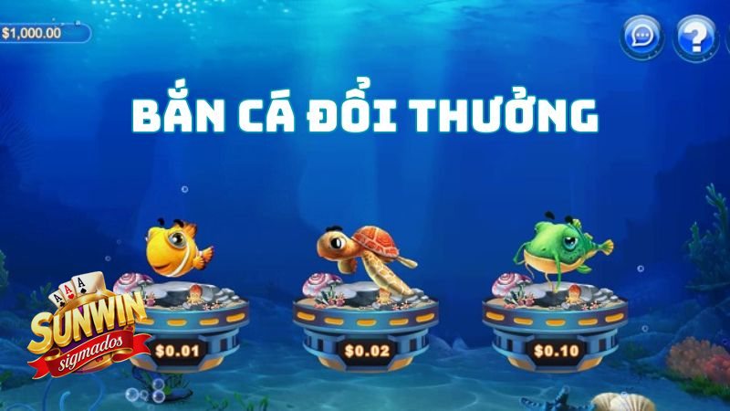 Bắn Cá Hải Tặc - Chủ đề hải tặc tạo cảm giác săn kho báu Bắn Cá Hải Tặc - Chủ đề hải tặc tạo cảm giác săn kho báu