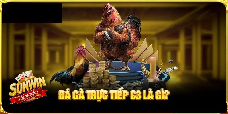 Đá Gà Cựa Sắt - Những cửa cược thường gặp Đá Gà Cựa Sắt - Những cửa cược thường gặp